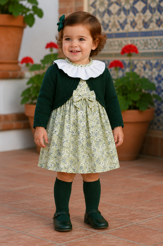 Babyferr sage floral dress & cardigan