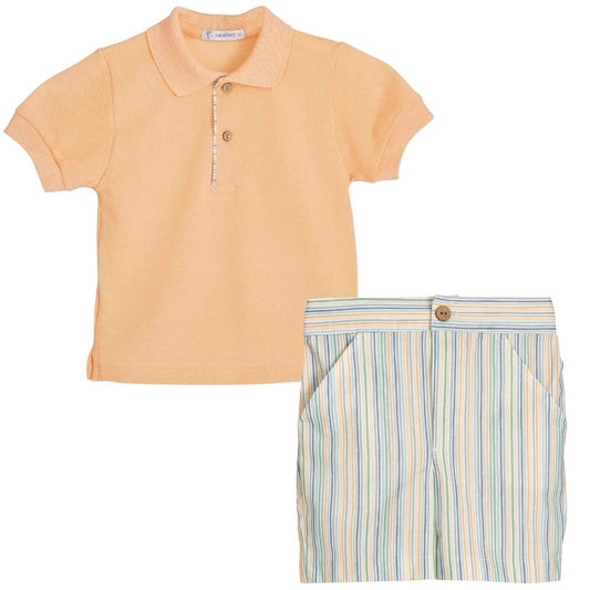 Indore Crop Boys set