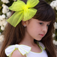 Neon Yellow Bow