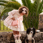 IN23-40 PINK CHANEL