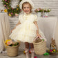 PC23-04 Lemon dress
