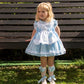 VE22-31 BLUE